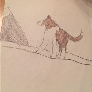 Meet your Posher, Isabella